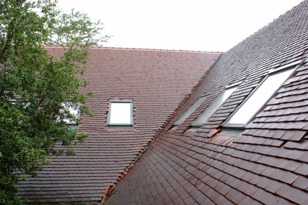 CARA House After 3_cm
